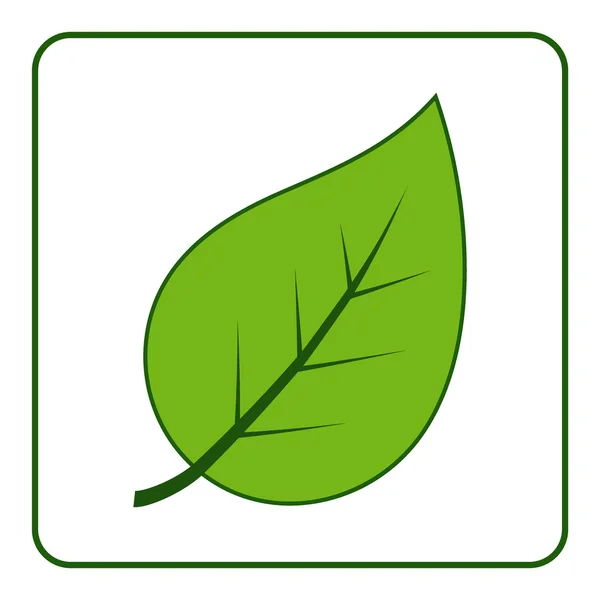 Icono verde hoja — Vector de stock