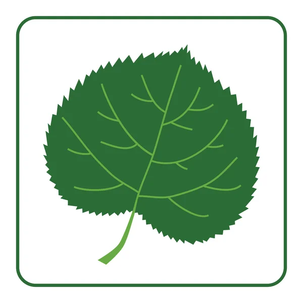 Hoja de tilo icono verde — Archivo Imágenes Vectoriales