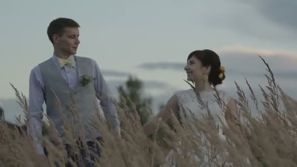 Nygifta i ett fält vid solnedgången — Stockvideo