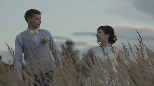 Recién casados en un campo al atardecer — Vídeos de Stock