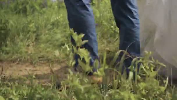 Glada vackra bruden och brudgummen gå på fältet — Stockvideo