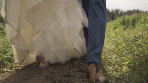 Happy beautiful bride and groom walking on field — Stock Video