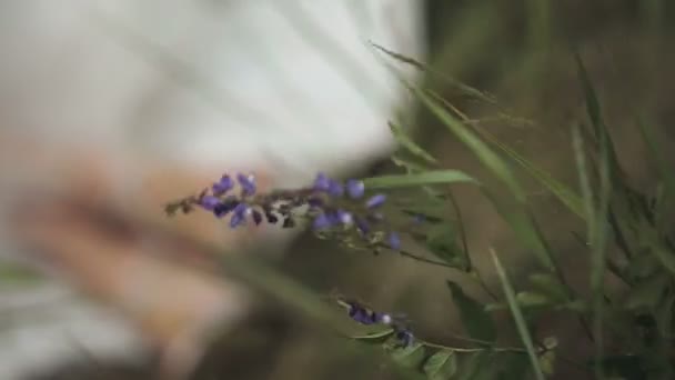 Indah pengantin kaki — Stok Video