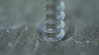 kontrplak bir parça vidalı vida