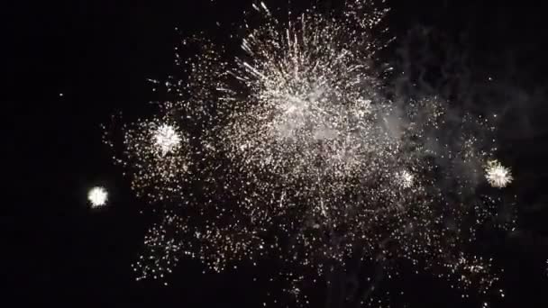 Braut und Bräutigam betrachten Feuerwerk — Stockvideo