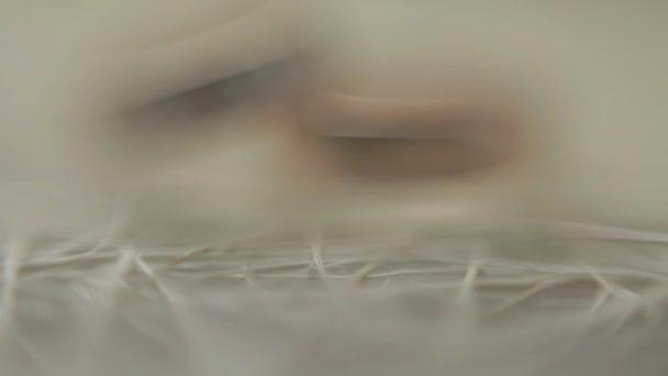 Belles alliances en macro 