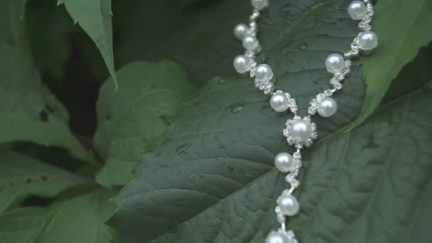 Perlový náhrdelník v trávě — Stock video