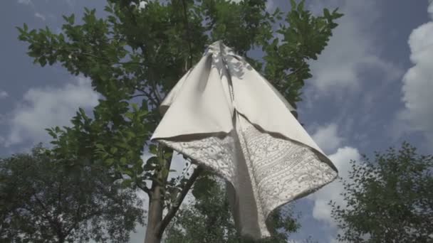 Hochzeitskleid hängt an einem Baum im Park — Stockvideo