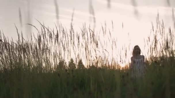 Una chica en el campo. puesta de sol — Vídeos de Stock