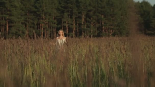 Chica en el campo — Vídeo de stock