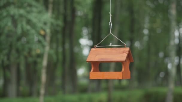 Rouge vif Maison en bois — Video