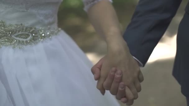 Жених и невеста держатся за руки — стоковое видео