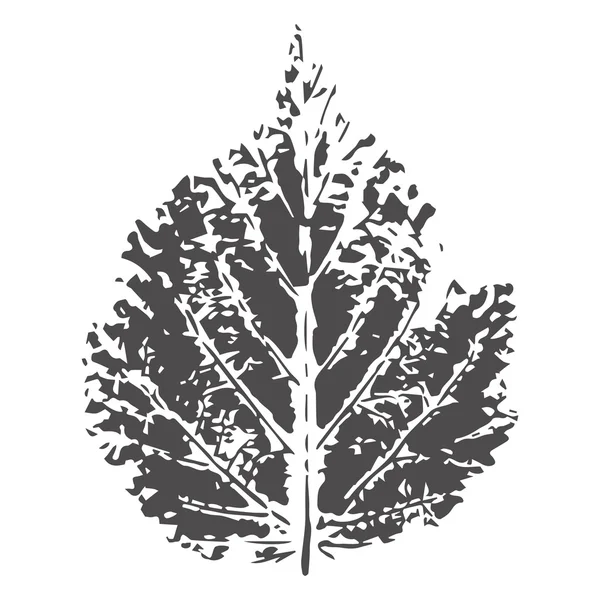 Yaprak Künye. Tek renkli vektör tasarım bitki elemanları. Doğa tasarım.