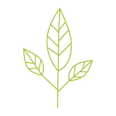 Stilize yeşil bitki - basit ve minimalist tasarım öğesi. Yeşil yaprakları - sembolü tasarım öğesi. Vektör çizim.