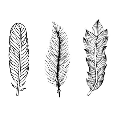 Set of hand drawn feathers. Vector illustration. clipart