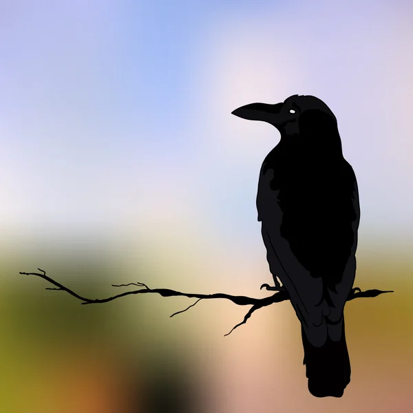 Vector silhouette of a crows in different positions. vector outline. — Stock Vector