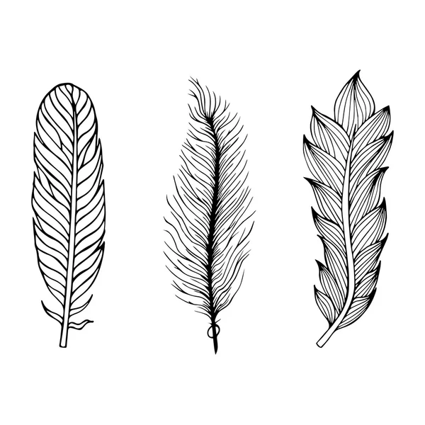 Set of hand drawn feathers. Vector illustration. — Stock Vector