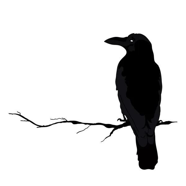Blackbird Vector Art Stock Images | Depositphotos