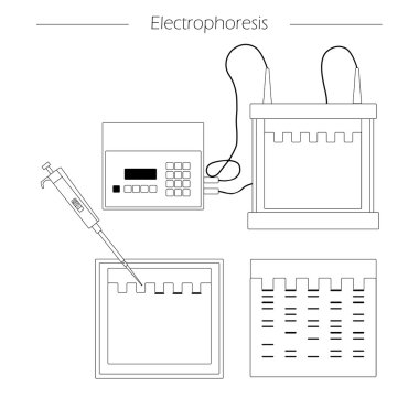 Elektroforez anahat simgesini