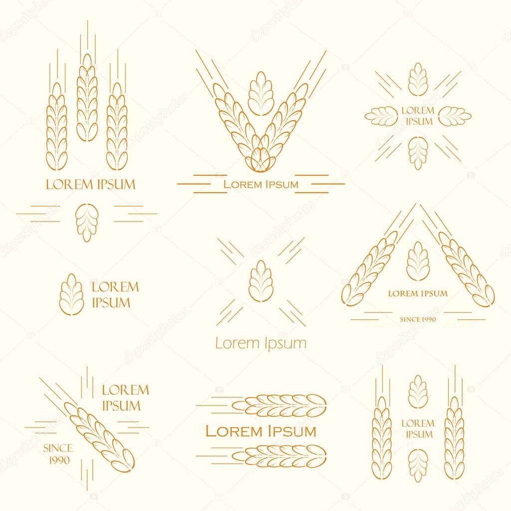 Ears of wheat logo design for beer brewery, wheat factory. vector label sign with spica. Logo set for farming, growing cereals