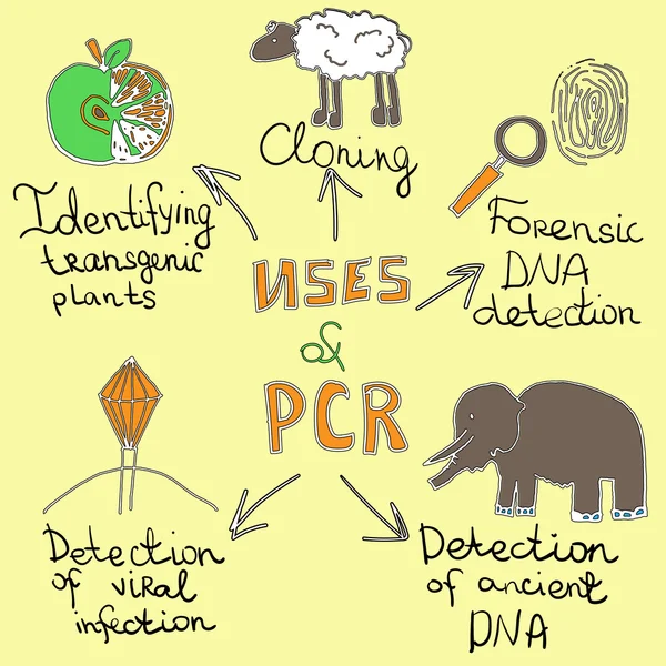 Toepassingen van pcr handgetekende — Stockvector