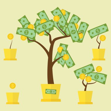 para ağaç büyüme