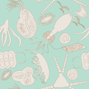 Plankton seamless modeli