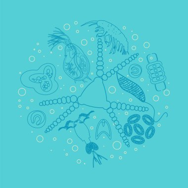 Plankton fitoplankton plankton anahat