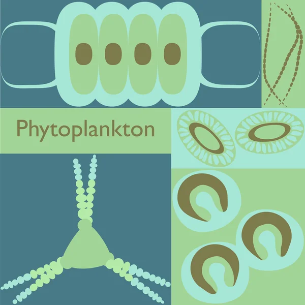 Set di fitoplancton di plancton — Vettoriale Stock