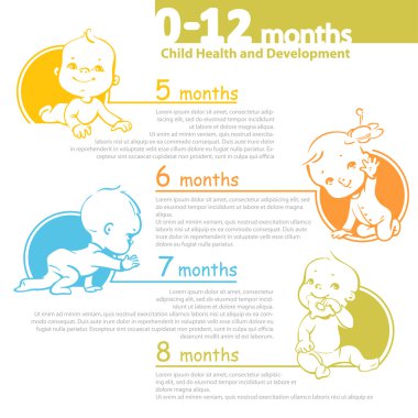 Infographic kadar büyüyen bebek.