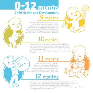 Infographic kadar büyüyen bebek.