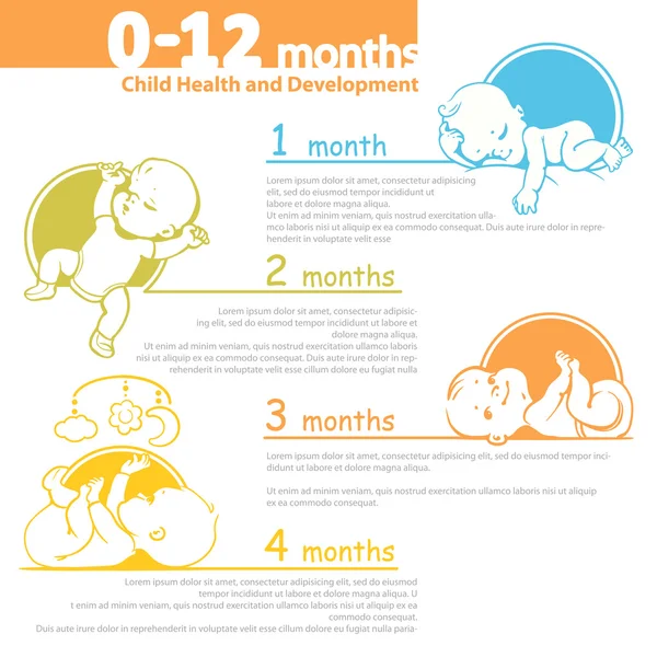 Infographic kadar büyüyen bebek.