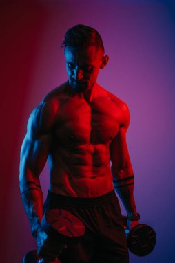 Mavi ve kırmızı ışıkların altında halterlerle biseps kıvrımları yapan sakallı kaslı bir adam. Vücut geliştiren bir adam sportif fiziğini gösteriyor. Bir atlet kollarını sıkı çalıştırıyor..