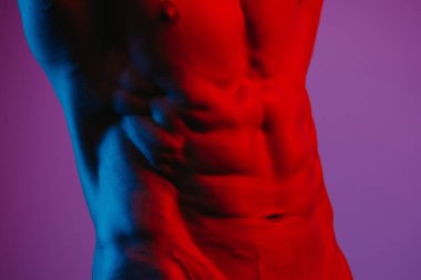 Mavi ve kırmızı ışıklar altında vücut geliştiren birinin karın kaslarının yan fotoğrafı. Atletik bir adam kaslı gövdesini gösteriyor..