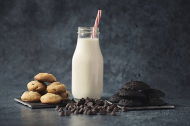 Mini çikolatalı kurabiyeler bir bardak sütle servis edilir. Gurme atıştırmalıklar.