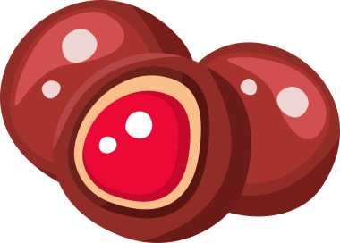 Üç lezzetli çikolata kaplı kiraz, canlı kırmızı meyve merkezini ortaya çıkarmak için bir kesik, tatlı ya da tatlı için mükemmel.