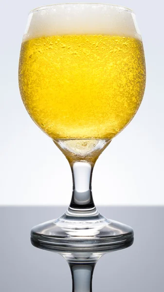 Copo de cerveja na superfície reflexiva — Fotografia de Stock