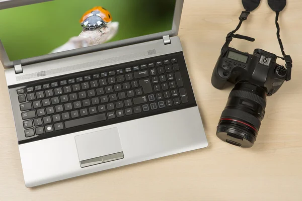 Fotoğrafçı çalışma alanı