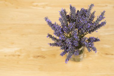 Ariel görünümü lavanta