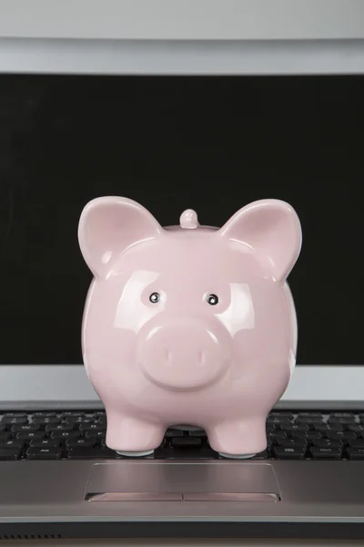 Piggy banco de pé no laptop abertocom tela em branco — Fotografia de Stock