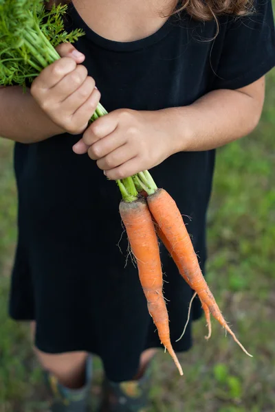 Маленькая девочка в черном платье держит молодую морковку . — стоковое фото