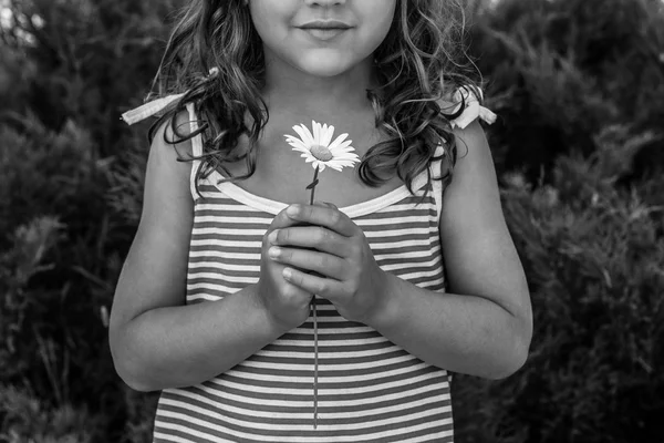 Little girl holding a Daisy flower. — Stock Photo, Image