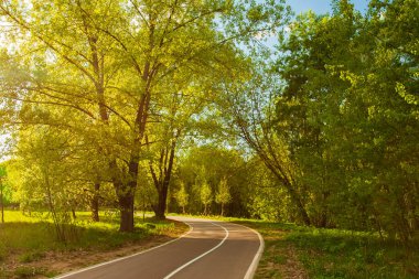 Yaz manzarası Park 'ta, asfalt yolu açık havada gün batımında..