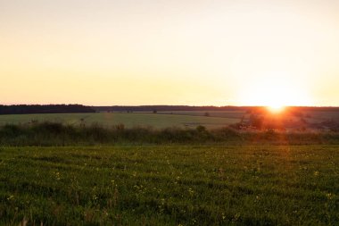 Summer Scenic Landscape With Colorful Sunrise / Sunset On Agricultural Field.