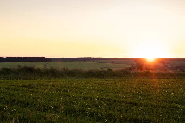 Summer Scenic Landscape Colorful Sunrise Sunset Agricultural Field — Foto de Stock