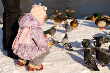 Little Child Girl, Half Sitting, Feeds Pigeon With Bread In Sunny Day In City Park In Winter.