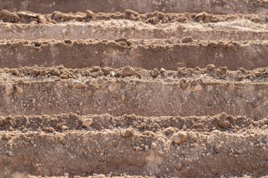 Kara dokusu arka planı. Bahar mevsiminde pullanmış patates tarlası Kırsal kesimde Yakın plan.