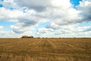Bahar manzarası. İlkbaharda kırsal kesimde dramatik Kümülüs Bulutlarıyla Tarım Alanı.