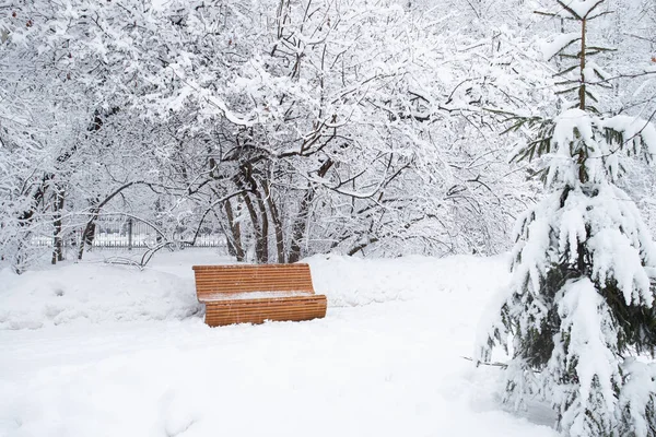 Прекрасний Сніговий Пейзаж Дерев Яною Лавочкою Зимовому Парку — стокове фото