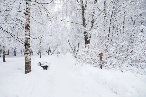 Kışın Yoğun Kar Yağışından Sonra Güzel Kalın Kar Manzarası Stok Fotoğraf